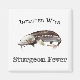 Imã Infectado Com Febre De Sturgeon