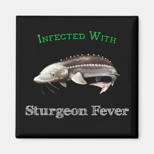 Imã Infectado Com Febre De Sturgeon