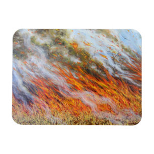 Ímã Inferno 2014 do Bushfire