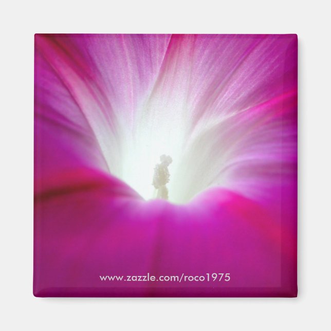 Imã Infini (mais brilhante) (Frente)