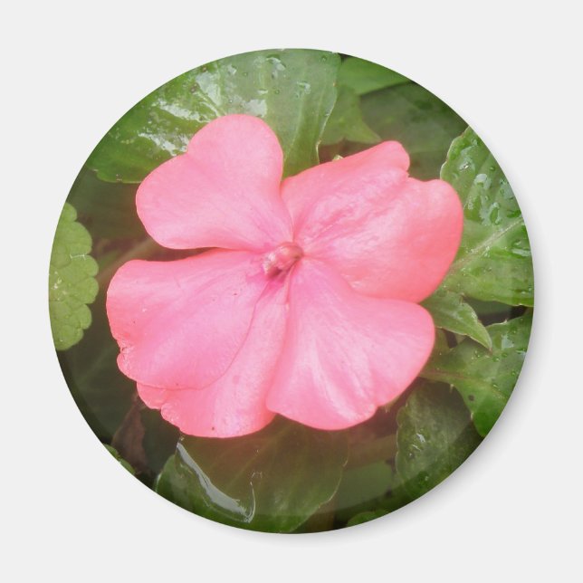Imã Influência do Inverso Rosa (Frente)