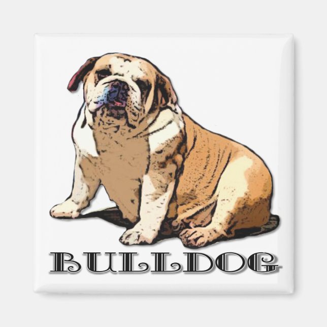 Imã Inglês Bulldog (Frente)