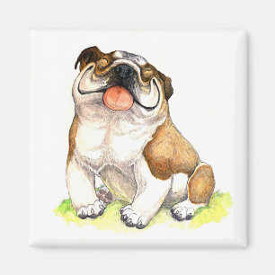Imã Inglês - Bulldog - Cachorro de Cartoon Magnet