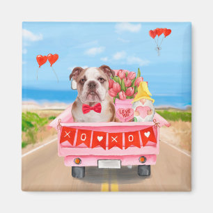 Imã Inglês Bulldog Dia de os namorados Truck Hearts