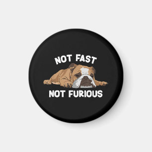 Imã Inglês Bulldog Dormindo Não Rápido Não É Fundão Fu