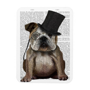 Ímã Inglês Bulldog, Formal Hound e Hat