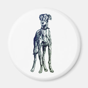 Imã Inglês Greyhound Breed Magnet