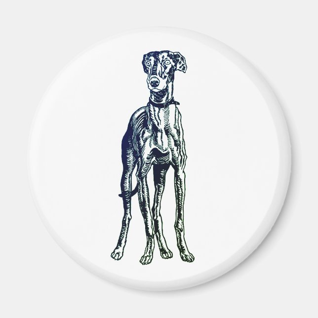 Imã Inglês Greyhound Breed Magnet (Frente)