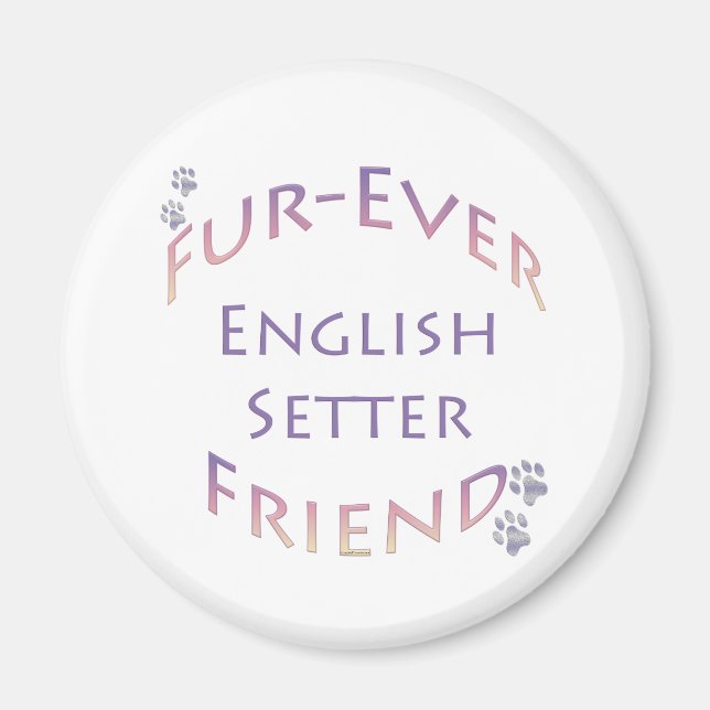 Imã Inglês Setter Fuere (Frente)