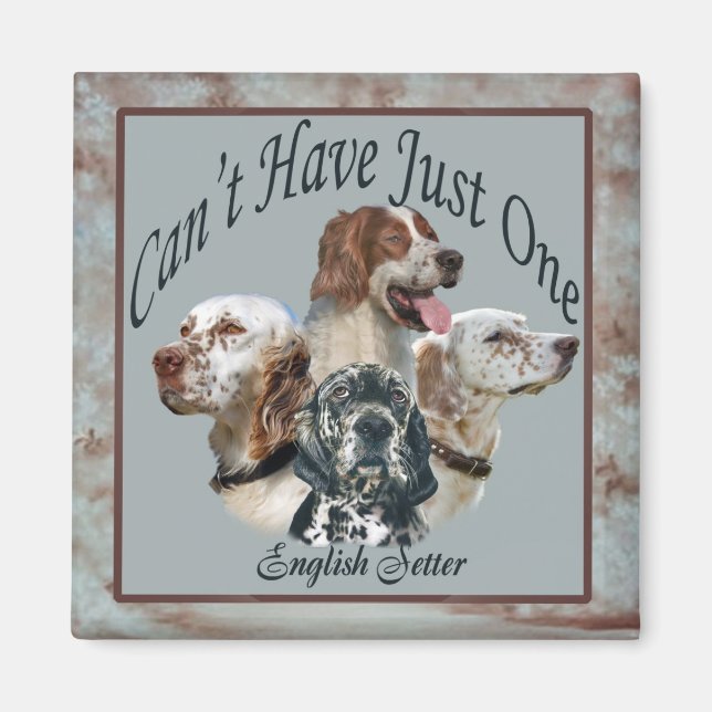 Imã Inglês Setter não pode ter apenas um Magnet (Frente)