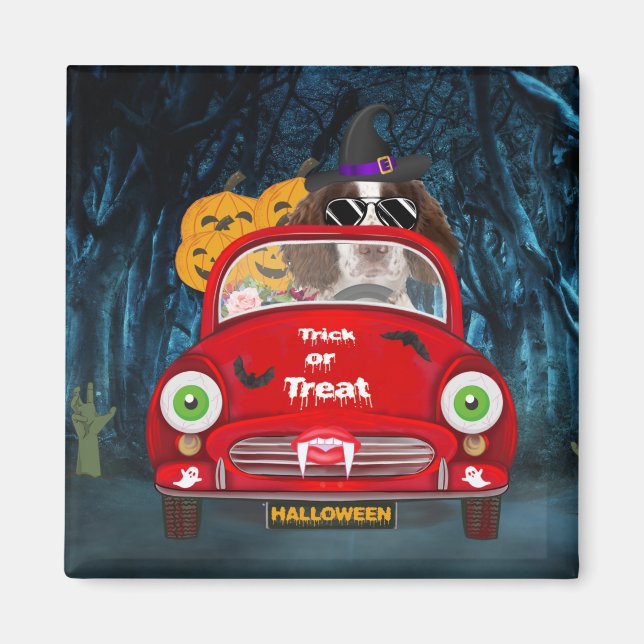 Imã Inglês Springer Spaniel cão Carro Assustado Hallow (Frente)