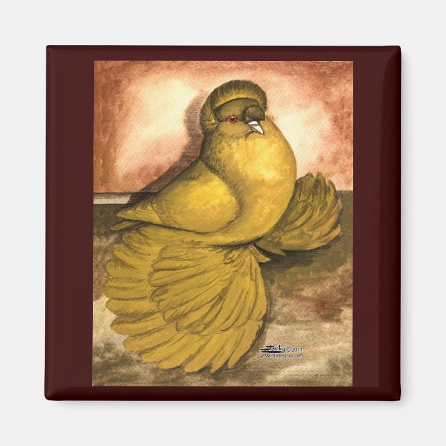 Imã Inglês Trumpeter Pigeon Yellow Self (Frente)