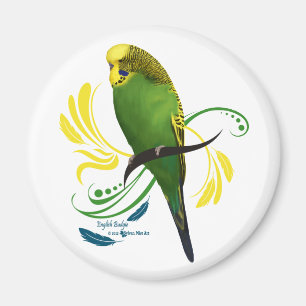 Imã Inglês verde Budgie