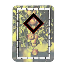 Ímã Ingwaz Rune Magnet - Herói!