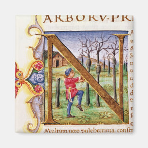 Imã Inicial 'N de Historiated