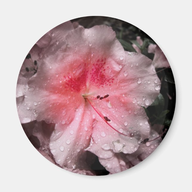 Imã Inner Glow Magnet (Frente)