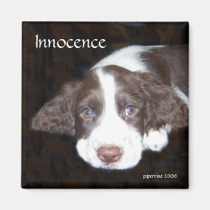 Imã Inocência - amor de filhote de cachorro