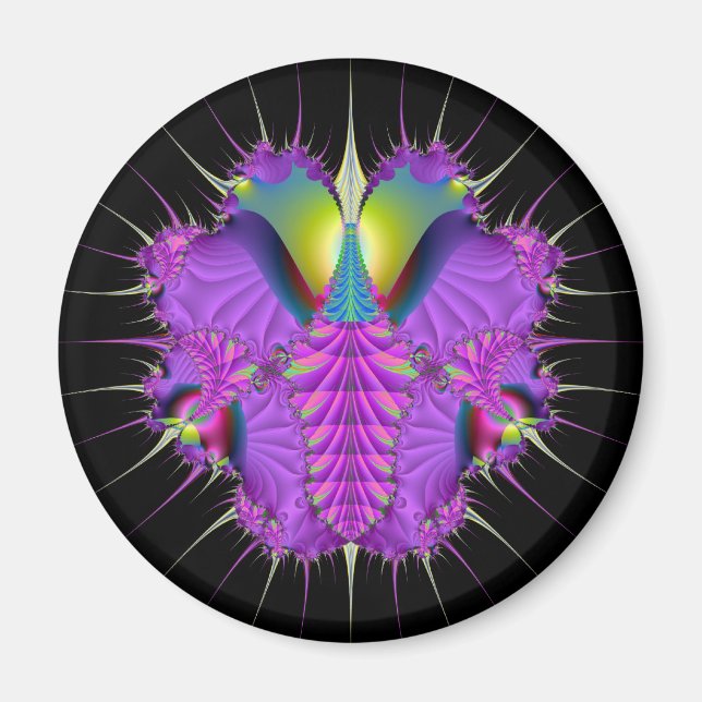 Imã Inseto Cabassou (Frente)