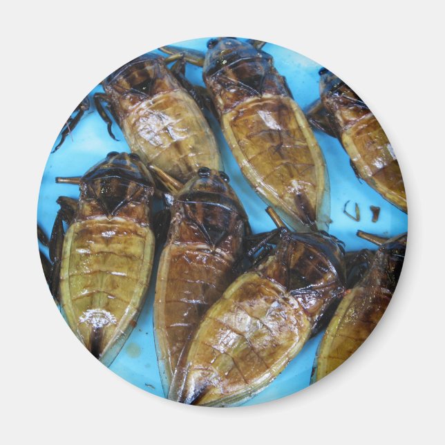 Imã Inseto De Água Gigante Fried (Maeng Daa) ... Comid (Frente)