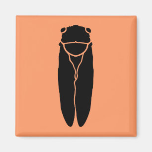 Imã Inseto de Cíada Negra