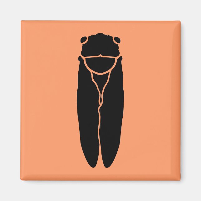 Imã Inseto de Cíada Negra (Frente)