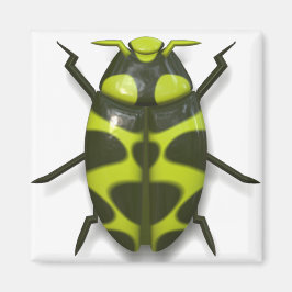 Imã Inseto inseto de besouro fofo