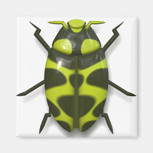 Imã Inseto inseto de besouro fofo