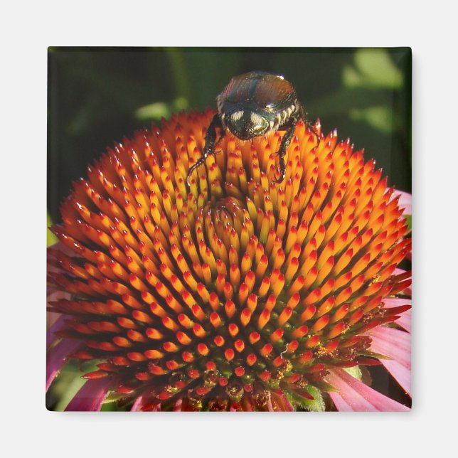 Imã Inseto na ventoinha (Frente)