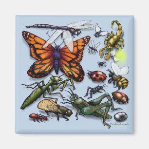Imã Insetos