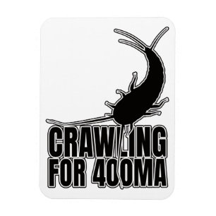 Ímã Insetos Primitivos Silverfish - Geek de Entomologi