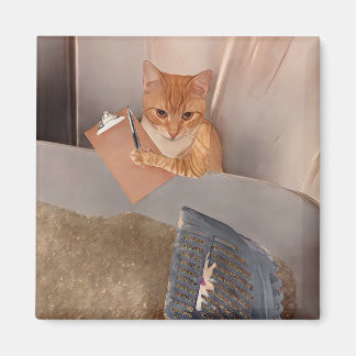 Imã Inspetor de Litros