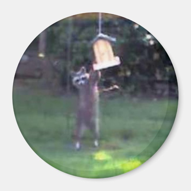 Imã Inspetor Raccoon (Frente)