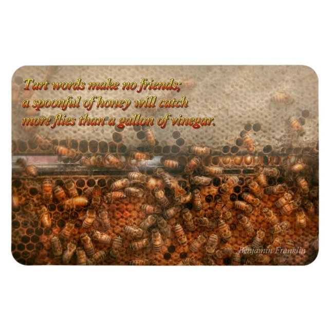 Ímã Inspiração - Apiário - Abelhas - Sucesso doce (Horizontal)