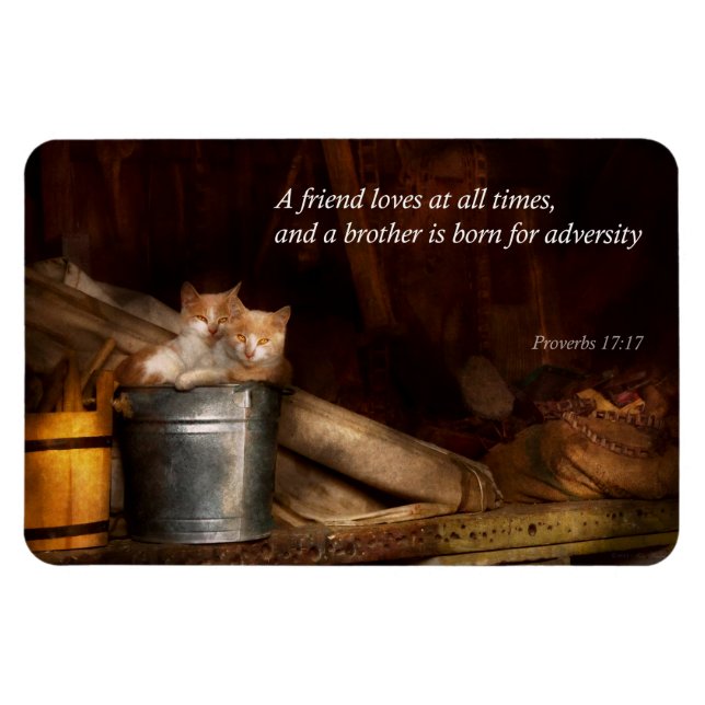 Ímã Inspiracional - Cat - Balde de diversão (Horizontal)