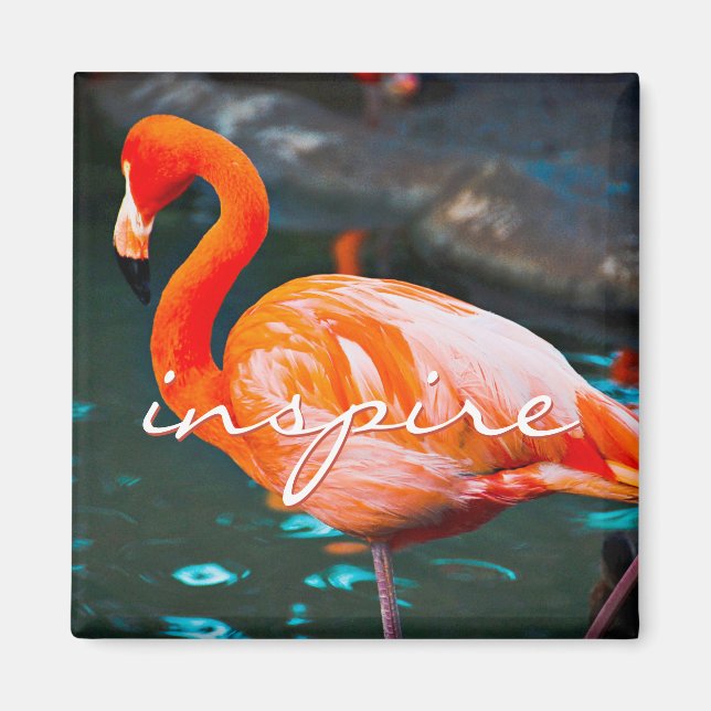 Imã Inspire Script Pink Flamingo Photo Modern Na moda (Frente)