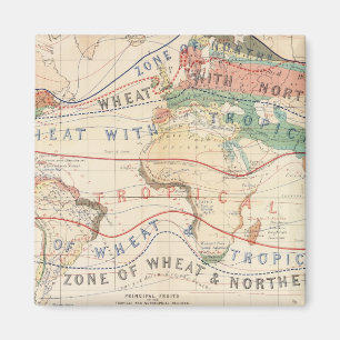 Imã Instalações de distribuição