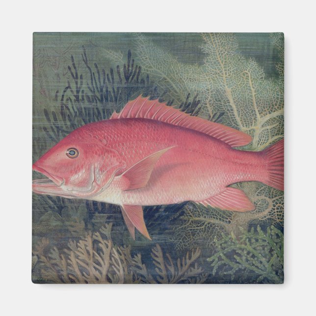 Imã Instantâneo Vermelho, de 'Peixes de Jogo dos Estad (Frente)