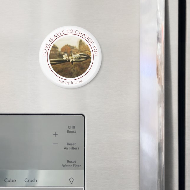 Imã Instrução Ímã de Namorado (In Situ (Fridge))