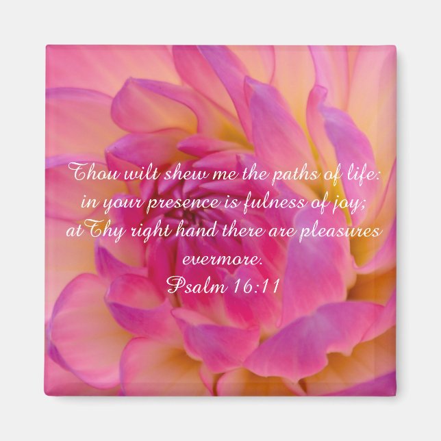 Imã Inteiro de Joy Magnet (Frente)