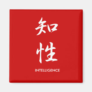 Imã Inteligência - Chisei