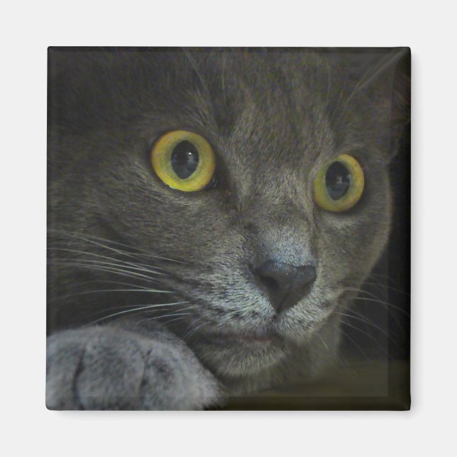 Imã Intensidade (Frente)