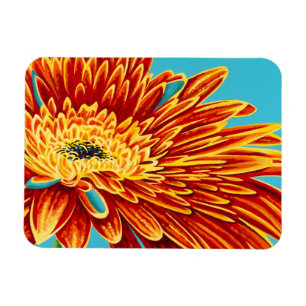 Ímã Intermitências de cores I