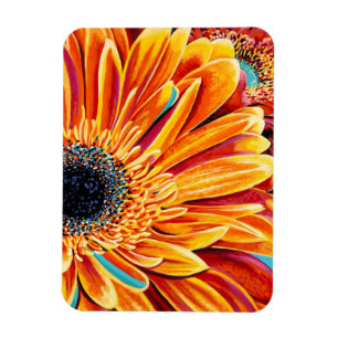 Ímã Intermitências de cores II