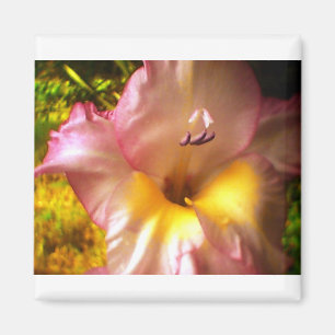 Imã Invernente de Flor Rosa Bloqueado