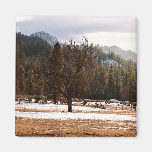 Imã Inverno... (Frente)