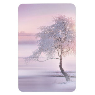 Ímã Inverno 05