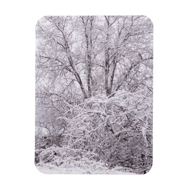 Ímã Inverno com paisagem de neve (Vertical)