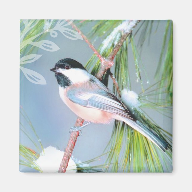 Imã Inverno de aves (Frente)