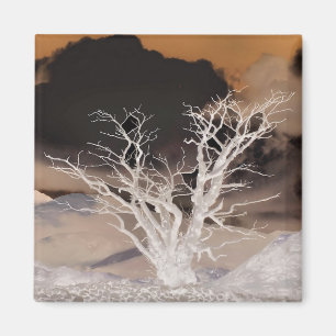 IMÃ INVERNO DE MONTANHA