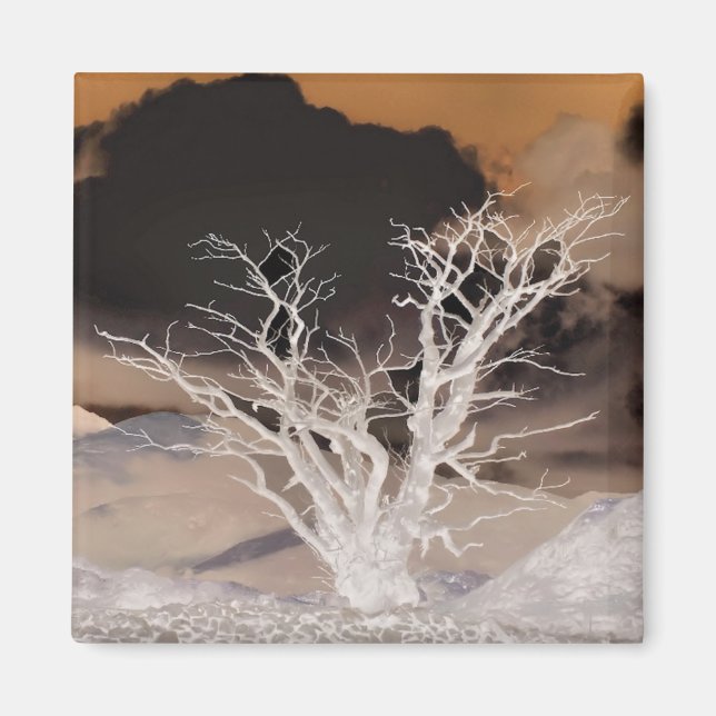 IMÃ INVERNO DE MONTANHA (Frente)